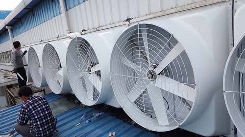 莱州低噪声玻璃钢屋顶风机 莱州低噪声玻璃钢屋顶风机