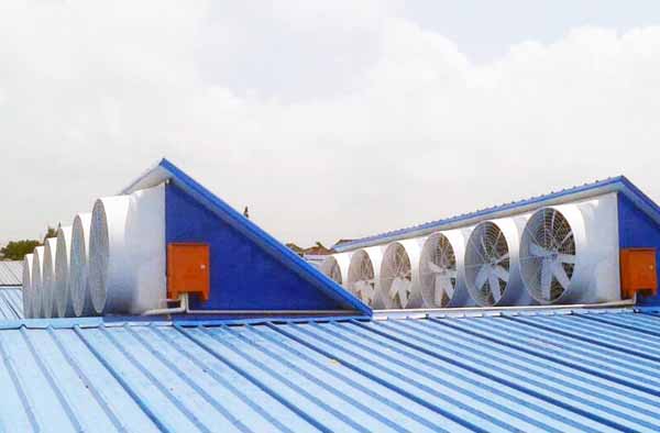 车间屋顶吸风机 车间屋顶吸风机