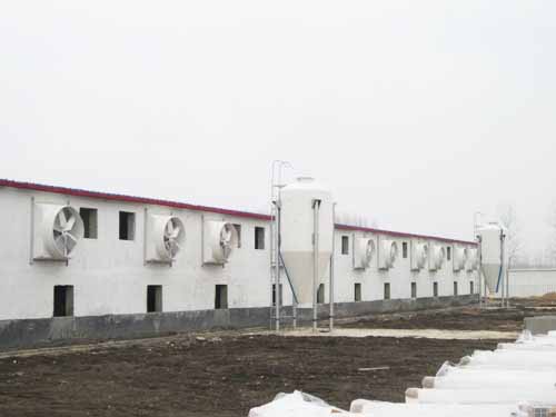 负压排风机 负压排风机